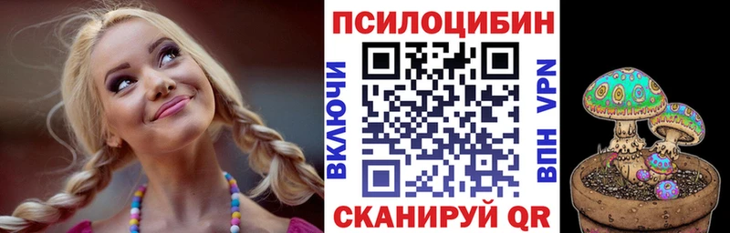 Псилоцибиновые грибы MAGIC MUSHROOMS  дарнет шоп  Высоковск 