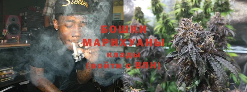 Бошки марихуана SATIVA & INDICA  Высоковск 